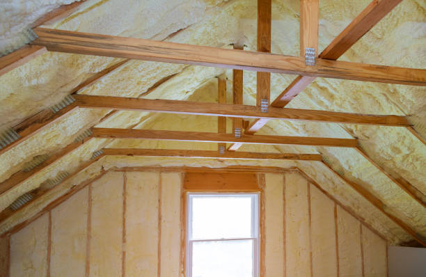 Best Eco-Friendly Insulation in Woodville, CA