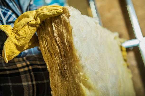 Best Eco-Friendly Insulation in Woodville, CA